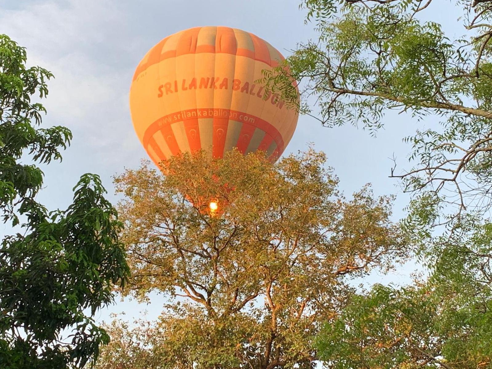 Eden Grand Otel Dambulla Dış mekan fotoğraf